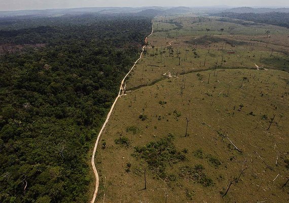 Alemanha suspende parte de verba que iria para a Amazônia