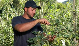 Cooperativa financeira apoia associados com bolsas para formação de técnicos agrícolas