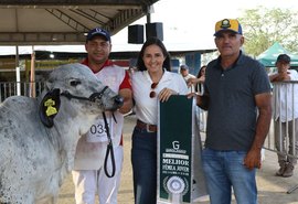 Expo Bacia Leiteira encerra edição com legado de competitividade e projeta crescimento no setor