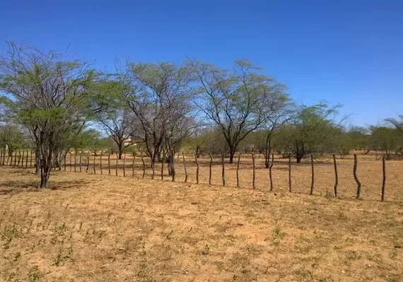 Seca faz três cidades alagoanas entrarem em situação de emergência; veja
