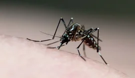 Brasil se aproxima de 1.400 mortes por dengue em 2024