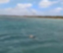 Vídeo: corpo é encontrado boiando em piscinas naturais de Maceió