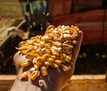 Tecnologia e cooperativismo impulsionam o mercado de grãos e sementes