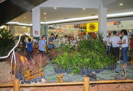 Prefeitura de Maceió inicia Semana Maceió Mais Sustentável