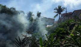 Corpo de bombeiros é acionado para conter chamas em vegetação no Reginaldo