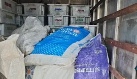 Carga de peixe imprópria para consumo é apreendida pela PRF em Canapi