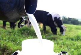 Preço do leite pago ao produtor cai 5% em maio