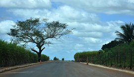 Programa Alagoas de Ponta a Ponta segue em Junqueiro com pavimentação asfáltica