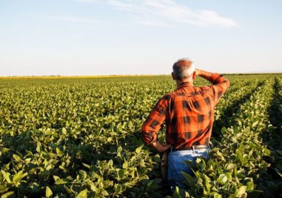 Prazo para entrega do Valor da Terra Nua termina em 30 dias