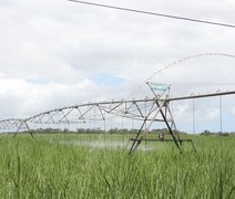 Comissão aprova ressarcimento para produtor rural por perdas decorrentes da falta de luz
