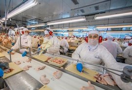 Exportações de carne de frango em 2025 devem subir