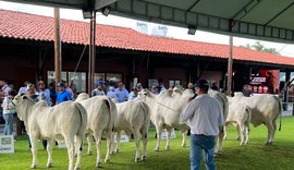 Expoalagoas Genética vai acontecer de 15 a 21 de abril no Parque da Pecuária