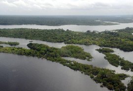 Edital para contratar empresas que monitorem desmatamento é lançado pelo Ibama