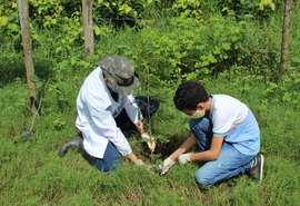 Pindorama comemora Semana do Meio Ambiente com ações restritas