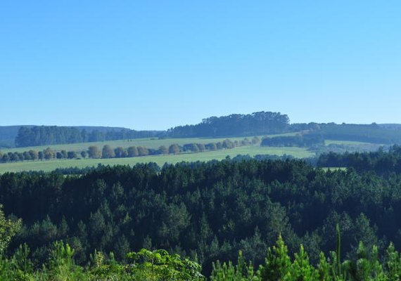 Em quatro meses, contratações do Plano Safra 2021/2022 chegam a R$ 124,5 bilhões