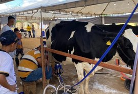 Torneio Leiteiro promovido pela Coopaz destaca produção da agricultura familiar