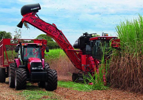 Equipamentos da usina Floralco estão sendo vendidos e podem ir para o exterior