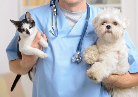 Prefeitura de Penedo promove castração gratuita de cães e gatos
