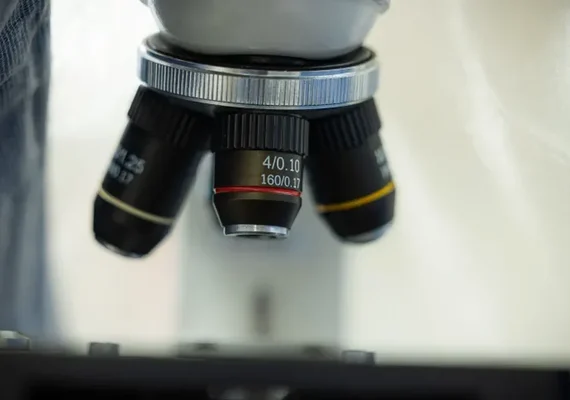 Pesquisadores investigam reaparecimento de vírus sabiá