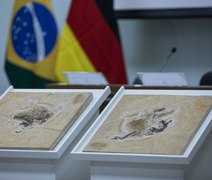 Dinossauros brasileiros retirados ilegalmente podem voltar ao país