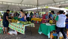 Feira sustentável especial do Dia das Crianças acontece neste domingo (13)