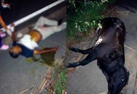 Motociclista morre ao bater em vaca na zona rural