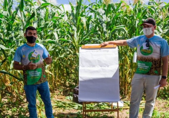 Prefeitura de Poço das Trincheiras realiza na próxima sexta (27) um dia de campo voltado à cultura do milho