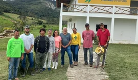 Nova própolis descoberta em Alagoas pode revolucionar tratamento anti-inflamatório