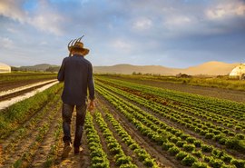 Especialista afirma que 2021 será promissor para a agricultura