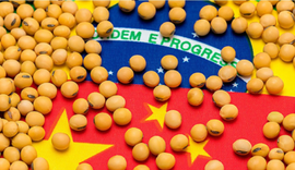Brasil e China discutem inspeção da soja após queda nas negociações