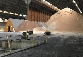 Safra 22/23 segue focada na produção de açúcar