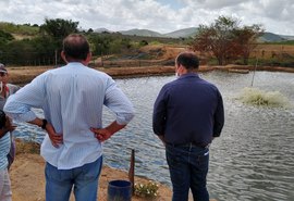 Sebrae AL articula incentivo à criação de camarão no Agreste