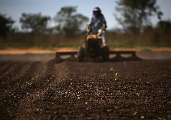 Exportadores de café no Brasil descartam ruptura no fornecimento aos EUA