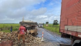 Caminhão carregado de inhame tomba na BR-101 em São Miguel dos Campos