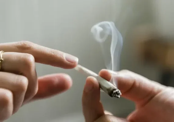 Câmara aprova Projeto de Lei que multa usuários de maconha em Maceió