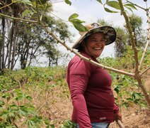 Participação do interior no PIB de Alagoas supera a capital, aponta IBGE