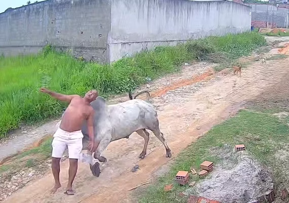 [VÍDEO] Homem é arremessado após cabeçada de boi no interior de Pernambuco