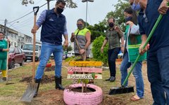 Equipe da Sudes realiza o plantio de uma muda