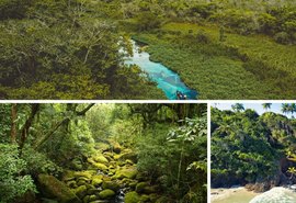 ﻿Alagoas se destaca entre destinos para quem busca contato com a natureza