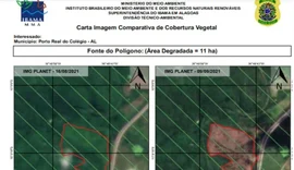 MPF ajuíza ação por desmatamento em área protegida em Terra Indígena de AL