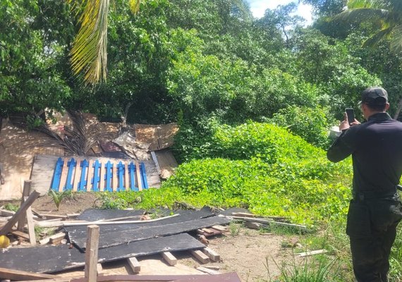 Obra em Porto de Pedras é autuada por descarte irregular de cimento após morte de peixes-boi