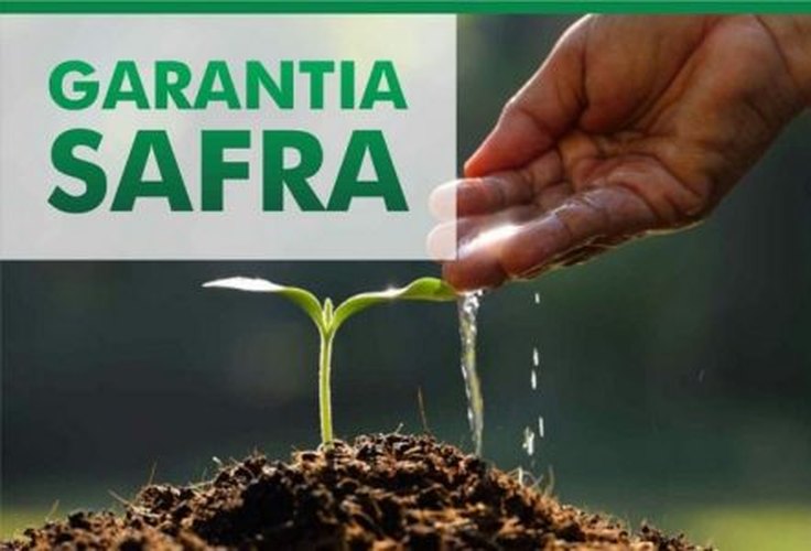 Agricultor pode fazer consulta online do Programa Garantia-Safra