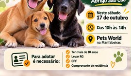 Abrigo São Cão promove feira de adoção neste sábado, em Maceió
