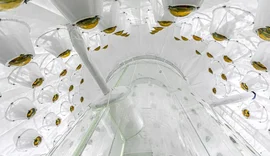 Cientistas descobrem possível sinal de matéria escura