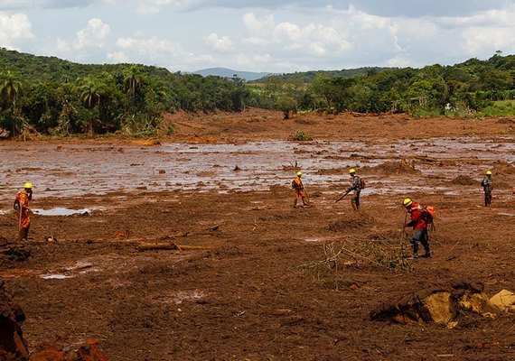 Penas para tragédias ambientais podem ficar mais severas