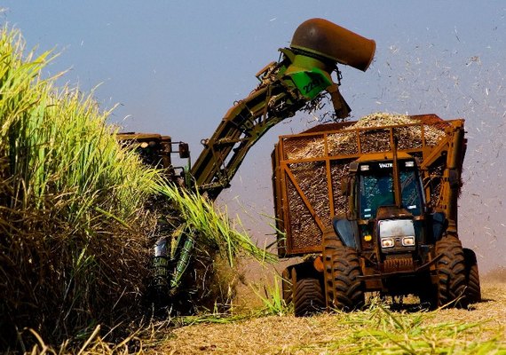 Quantidade de cana processada chega a 9,4 mi na safra 18/19