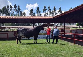Leilão Genética de Berço acontece neste domingo (18)