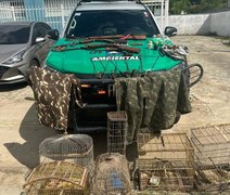 PM apreende armas e pássaros silvestres em ações ambientais em Alagoas