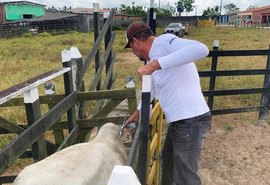 Adeal alerta criadores sobre prazos para vacinação e declaração da aftosa