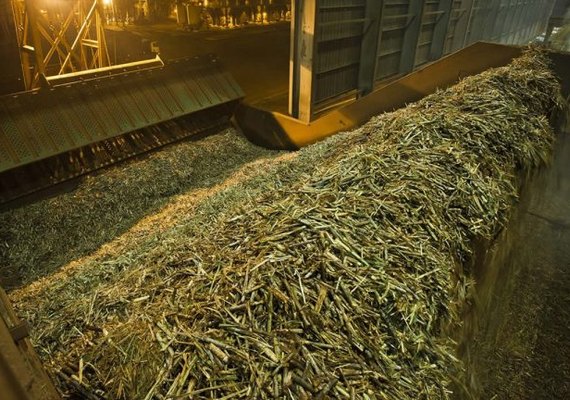 Safra acumula 12,9 milhões de toneladas de cana processadas